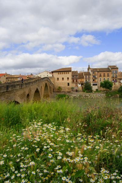 puente la reina